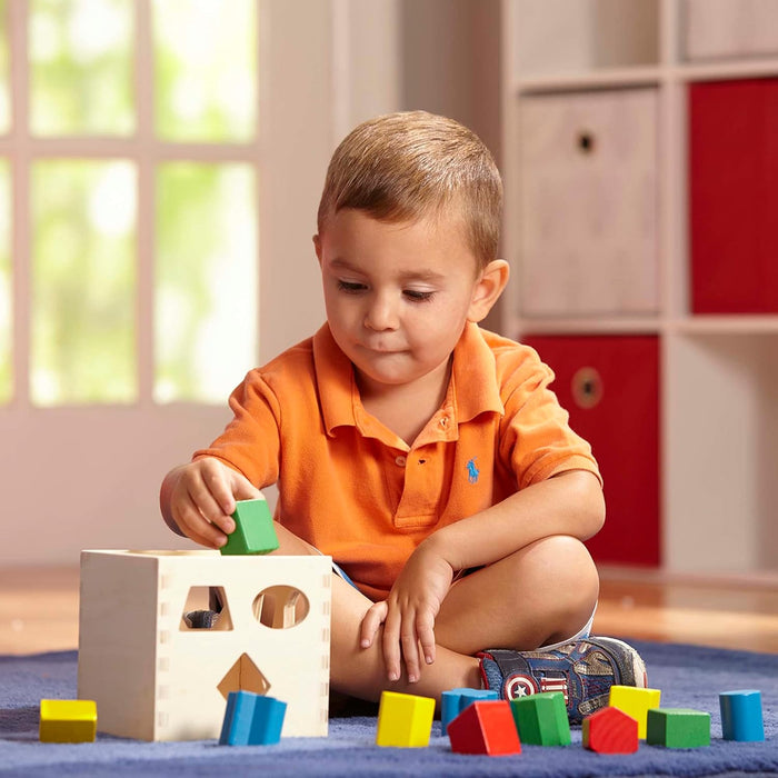 Classic Wooden Toy With 12 Shapes