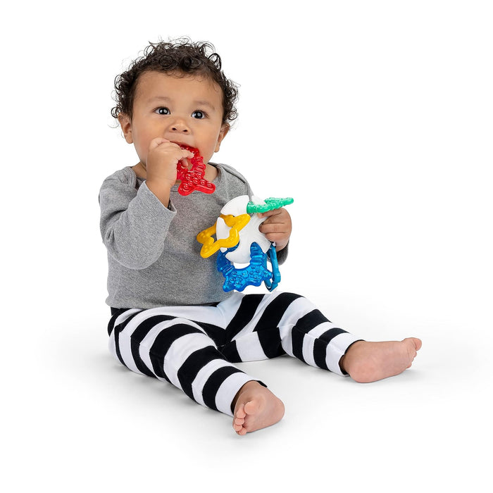 Einstein Teething Rattle And Cooling Toy